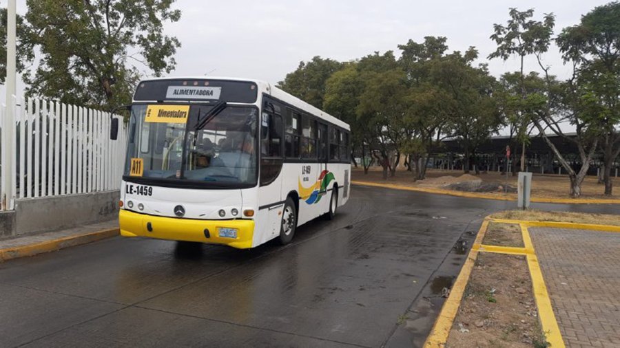 En Regreso A Clases El Lunes Reforzarán 56 Rutas Del Transporte En León Elpipilamx 2725