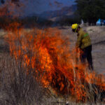 Registra Guanajuato más de 100 incendios forestales en el 2024