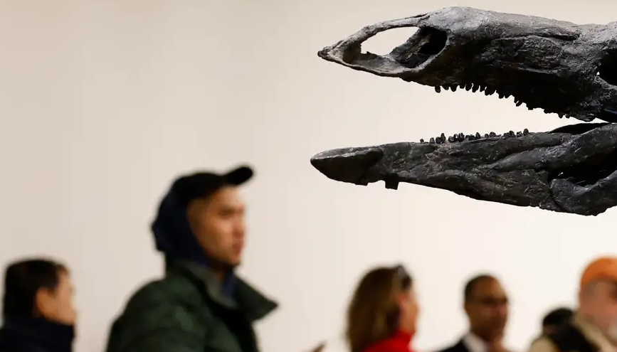 científicos documentan nuevas especies de animales y plantas en 2025