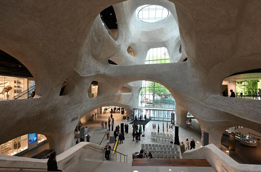 nuevas especies descubiertas en 2025 diversidad biológica