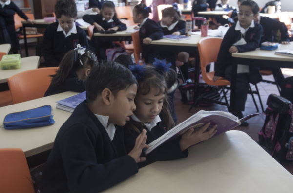 entrega de libros en escuelas primarias 