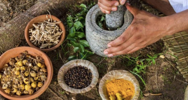 insumos naturales de medicina tradicional indígena