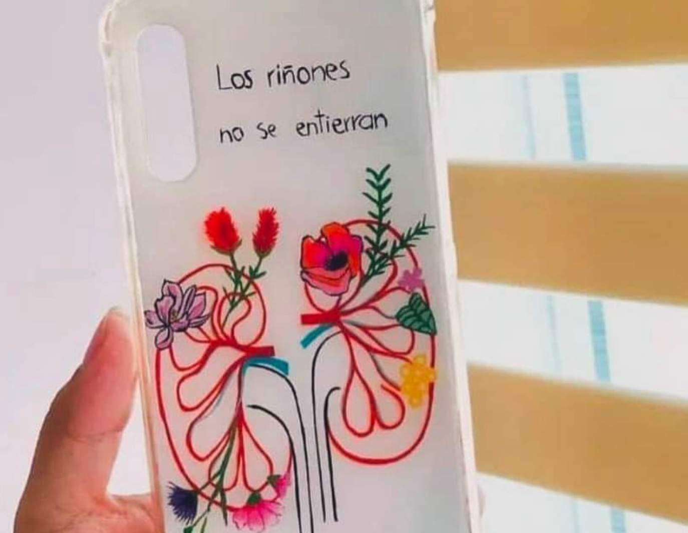 Proceso de donación y trasplante de órganos en hospitales de Guanajuato