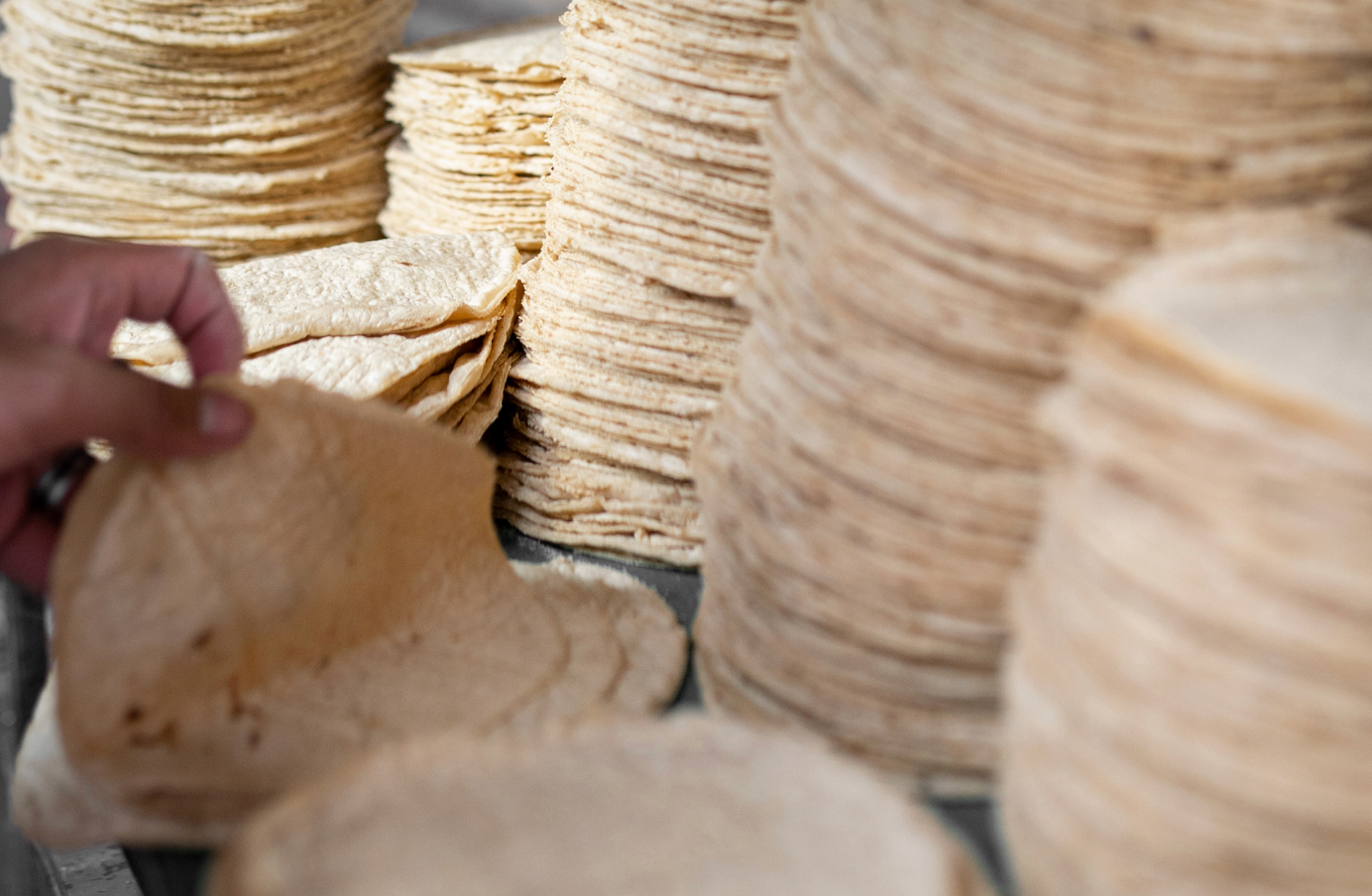 El precio de la tortilla en Guanajuato enfrenta una presión insostenible