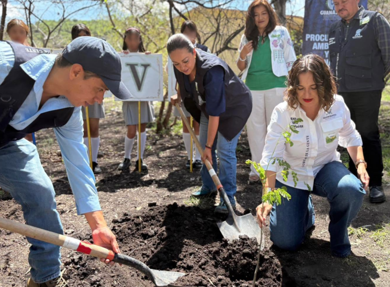 ¡Más arbolitos en Guanajuato! Arranca gran jornada para plantar árboles en el estado